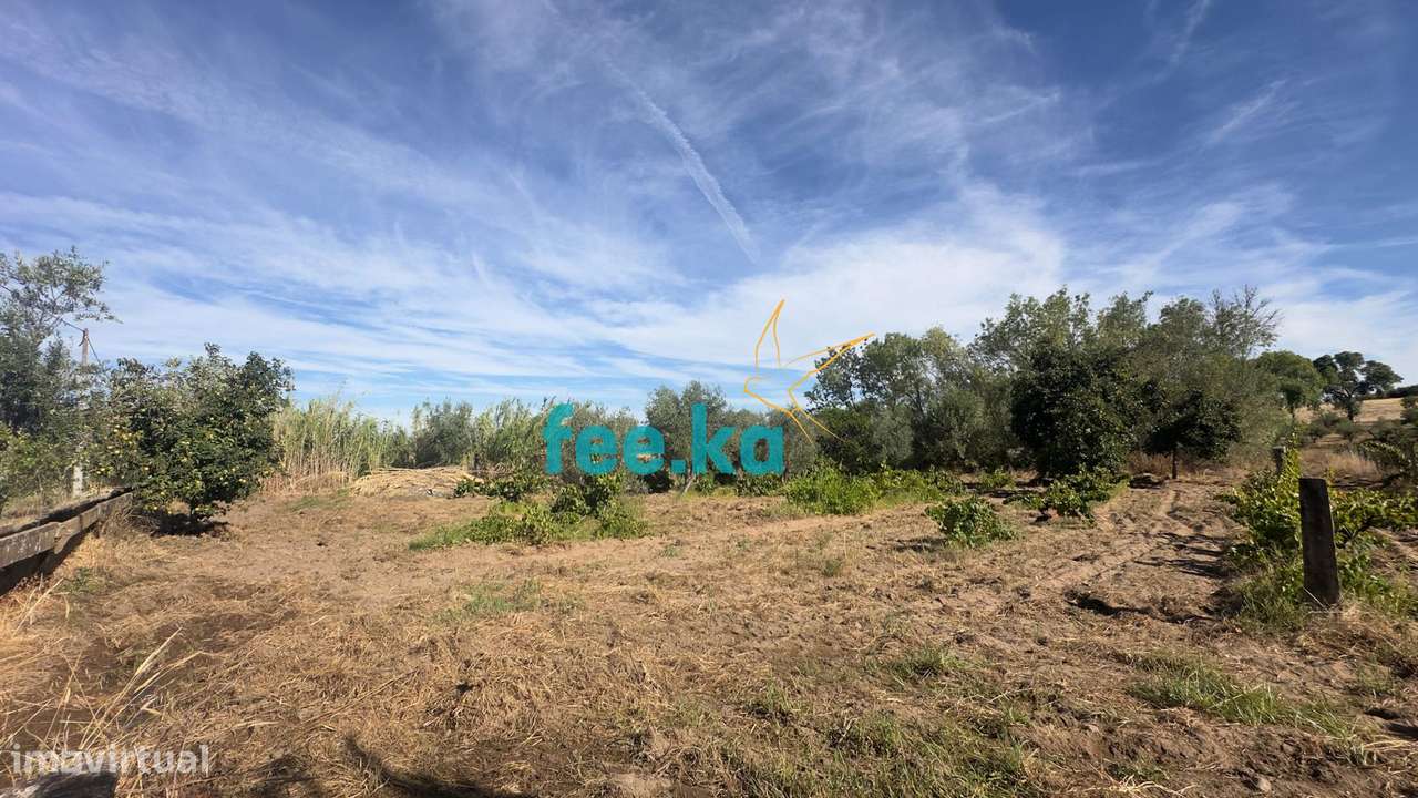 Terreno em Ladoeiro-39