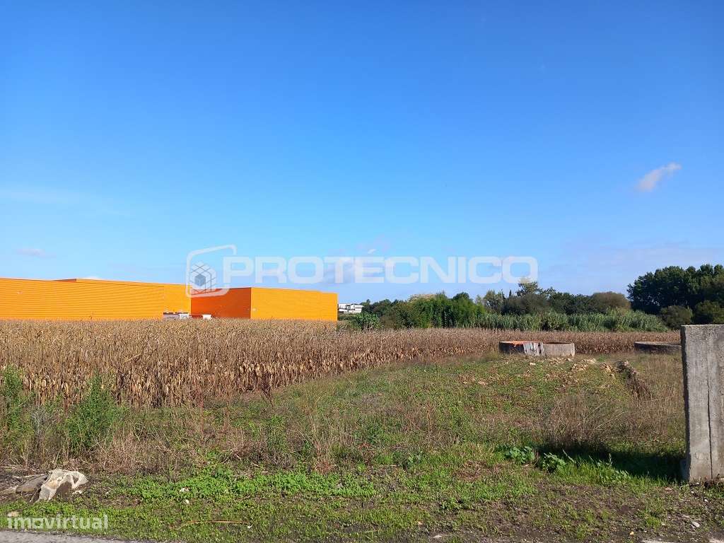 Terreno p/ construção – Oliveirinha - Grande imagem: 3/5