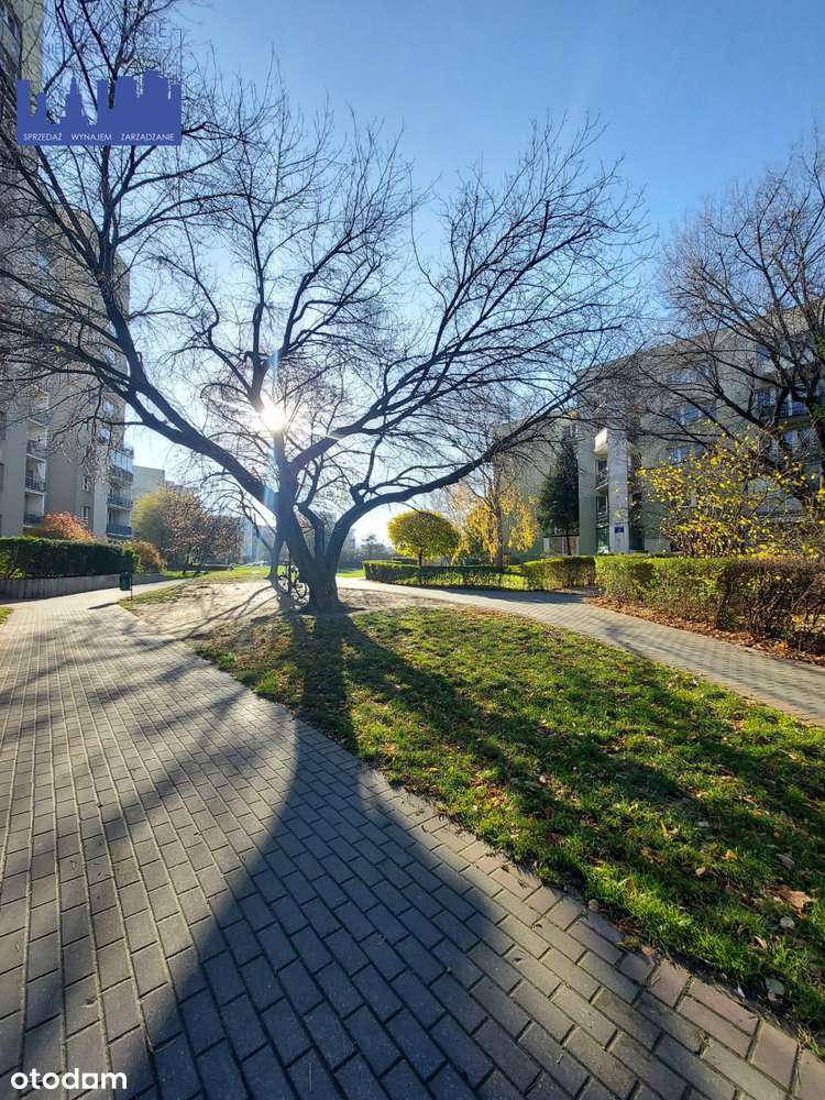 Inwestycyjny gotowiec (6 pokoi) przy metrze-0