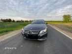 Mercedes-Benz Klasa E 250 CDI 4-Matic BlueEff Avantgarde - 17