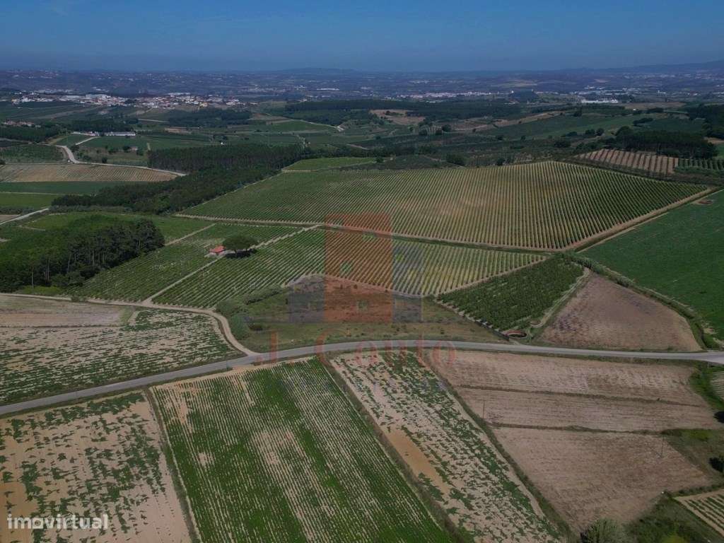 Terreno Rústico para Agricultura - Grande imagem: 3/9
