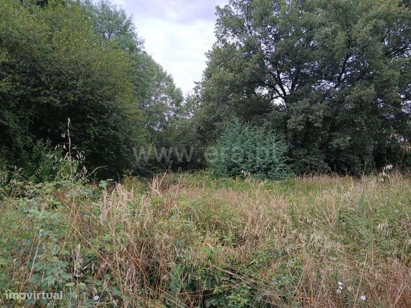 Terreno / Fundão, Atalaia do Campo - Grande imagem: 5/9