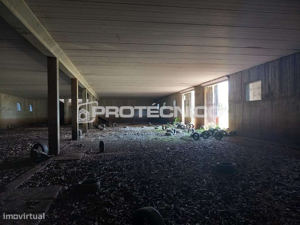 Armazém para reabilitação – Albergaria-a-Velha - Grande imagem: 5/14