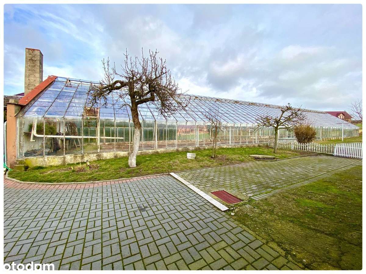 Dwurodzinny dom z dużą działką 2149 m2 + szklarnia-7