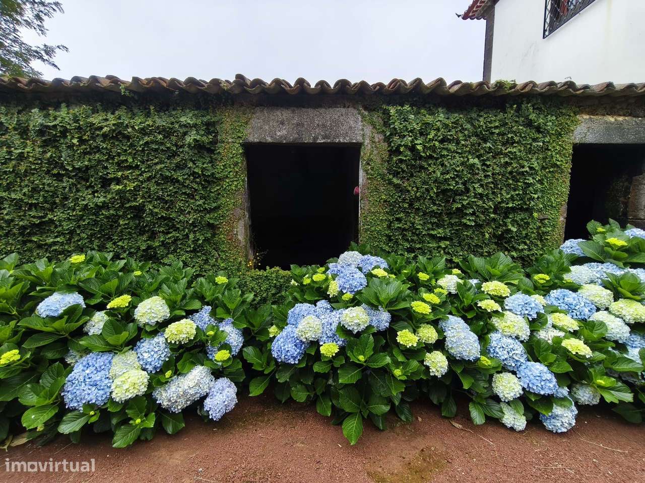 Solar Centenário de Encanto Histórico com Vista Inigualável na Ilha de-9