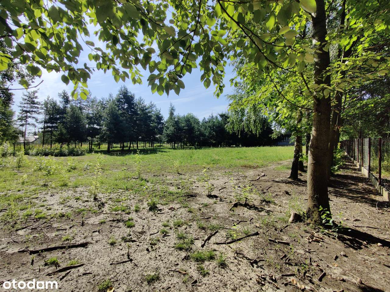 Ogrodzona rolno-budowlana w Janowie-13