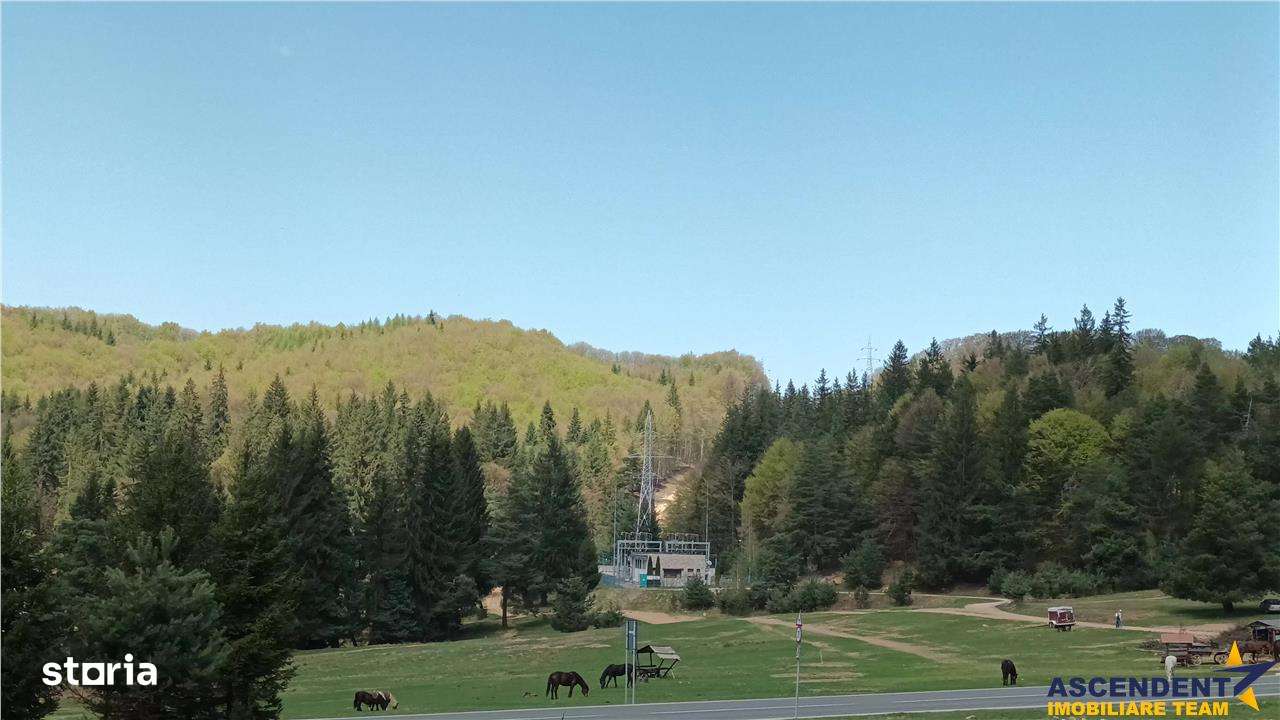 Teren cu potential:1.000 mp,proiect turisticrezidential,Poiana Brasov - Imagine principală: 2/18