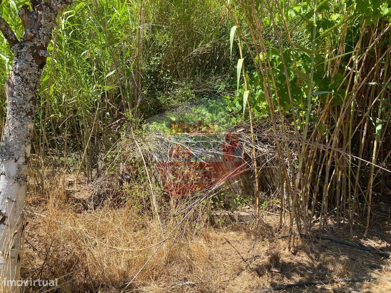 Quinta agrícola com habitação em São Bartolomeu da Serra-12