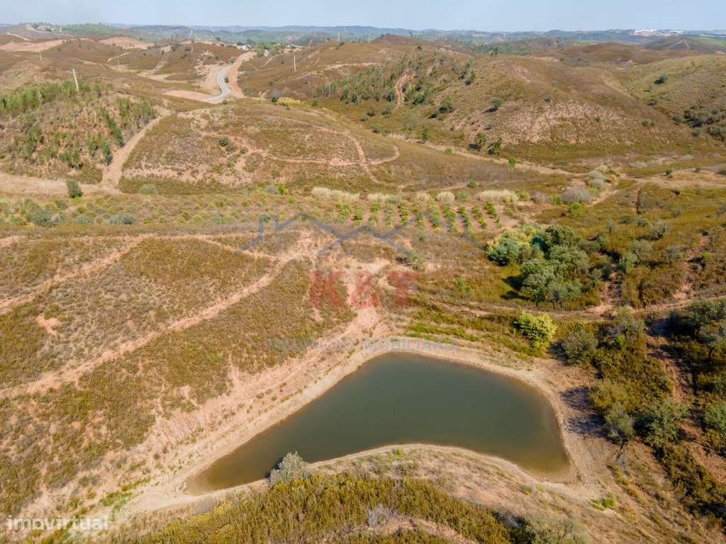 Terreno Rústico com horta e barragem e bom acesso - Grande imagem: 2/10