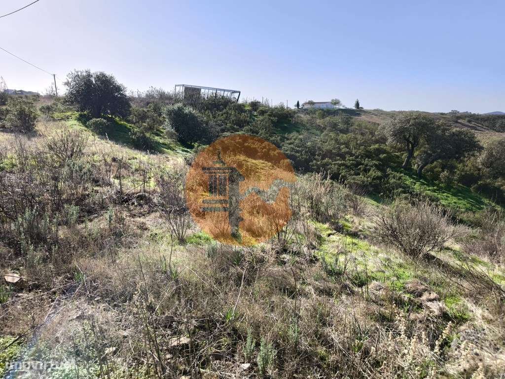 TERRENO COM 2.120 M² - COM TERRAÇOS - JUNTO AO ASFALTO - NA CORTE D... - Grande imagem: 4/19