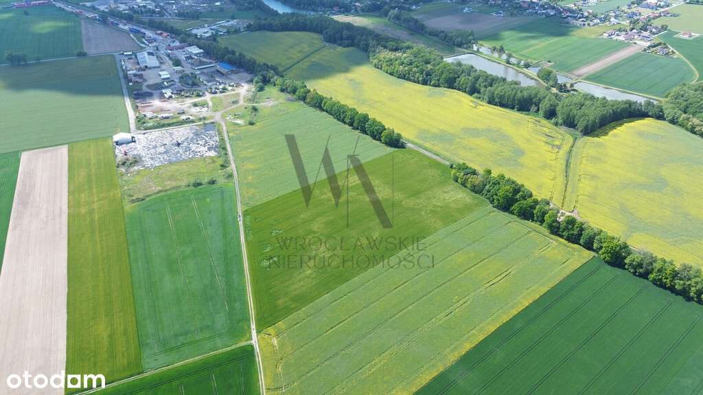 Działka inwestycyjna AG/6 – Cieśle, gmina Oleśnica-7