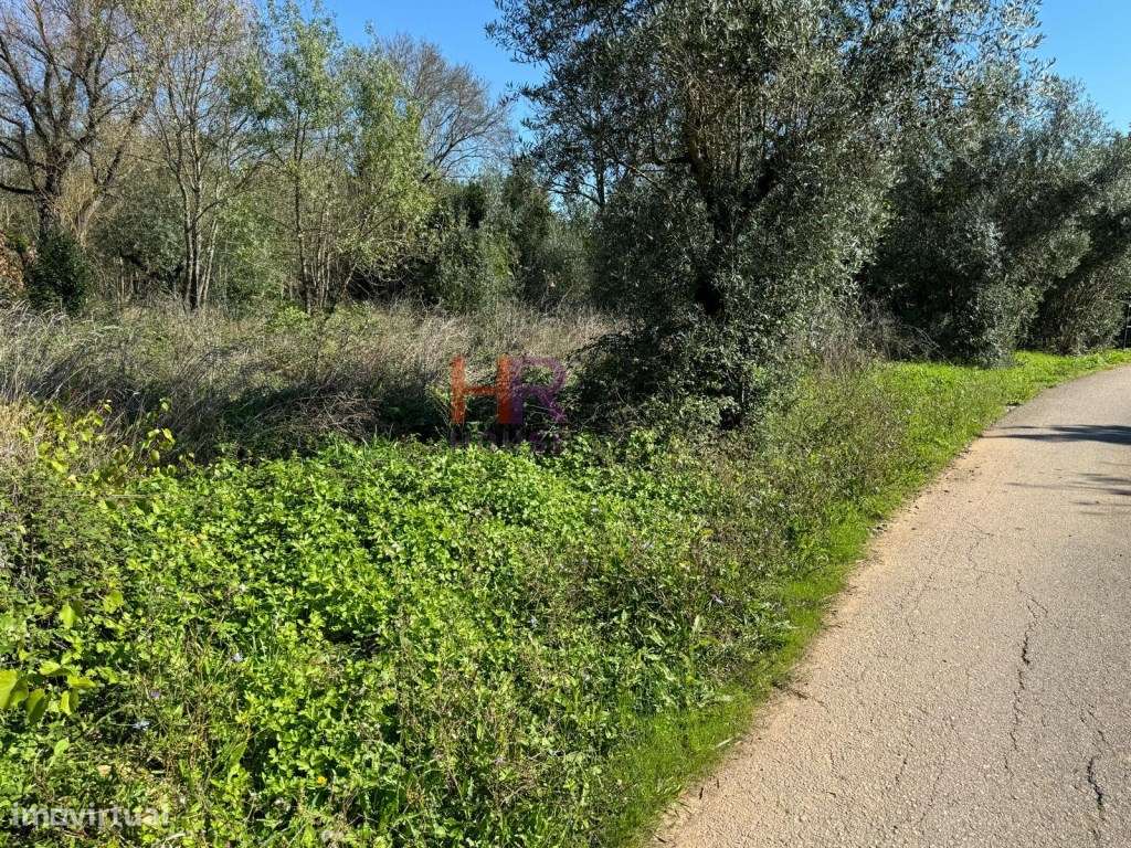 Vende-se Terreno com casas em ruina com 8000m2-11
