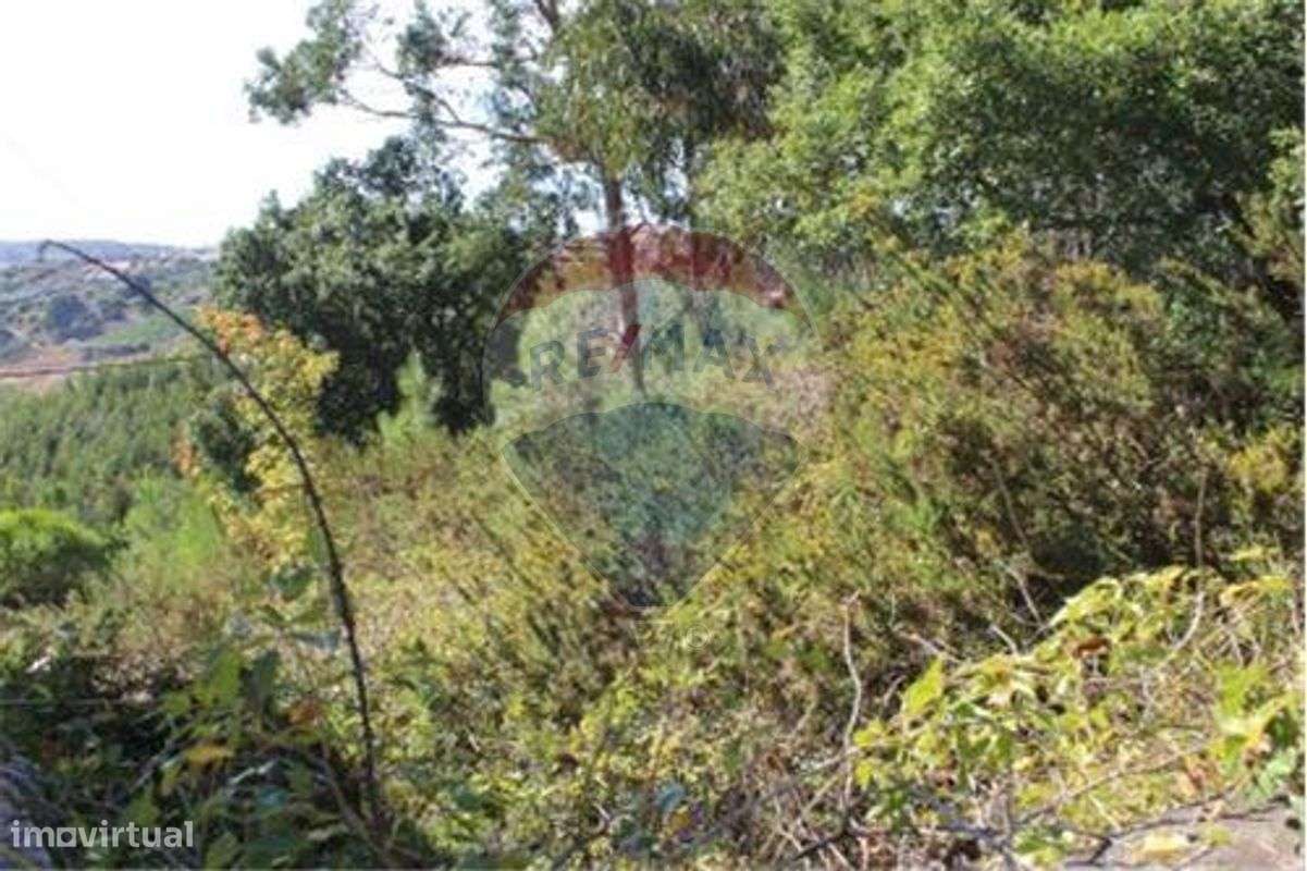 Terreno T0 para venda - Grande imagem: 3/11