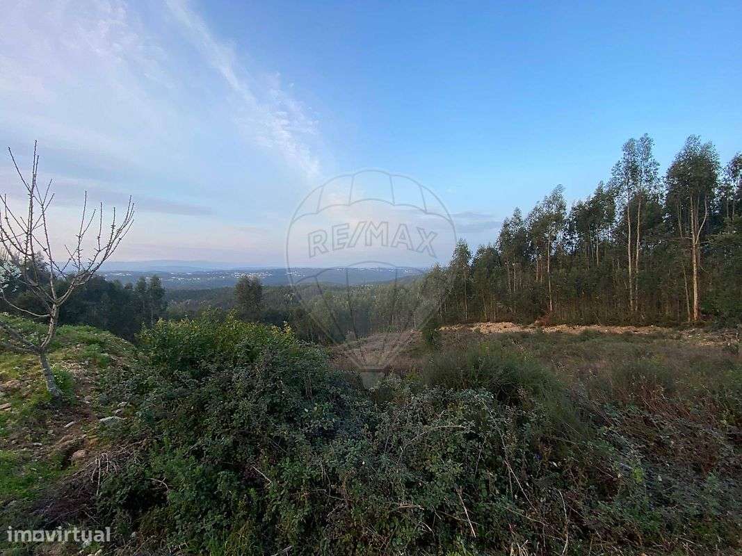 Terreno  para venda-2