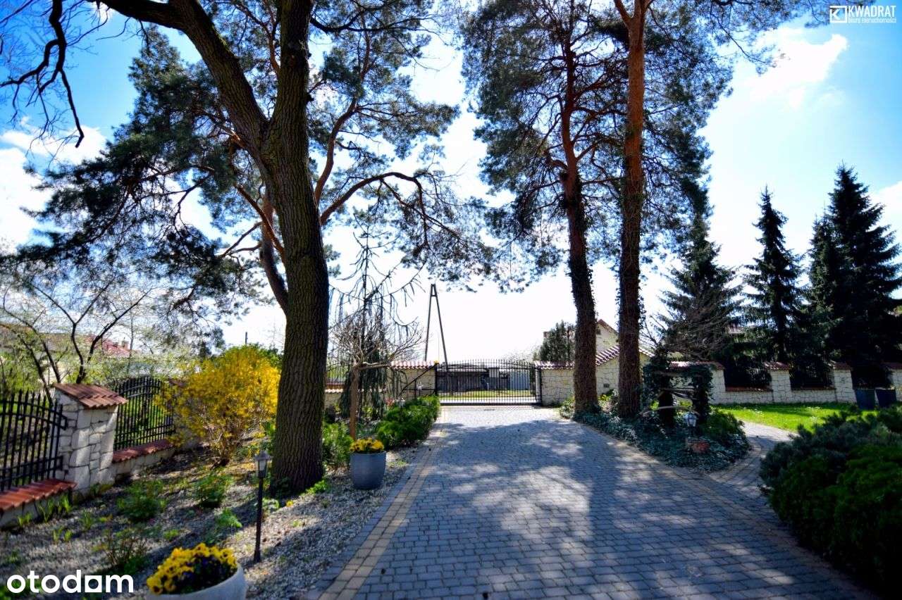 Luksusowy Dom do wynajęcia 500m2 Wólka Abramowic - Pełny obrazek: 4/19