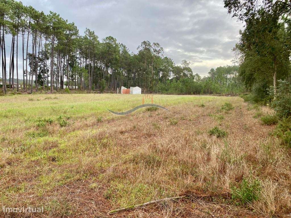 Terreno Florestal - Monte Redondo - Grande imagem: 4/18