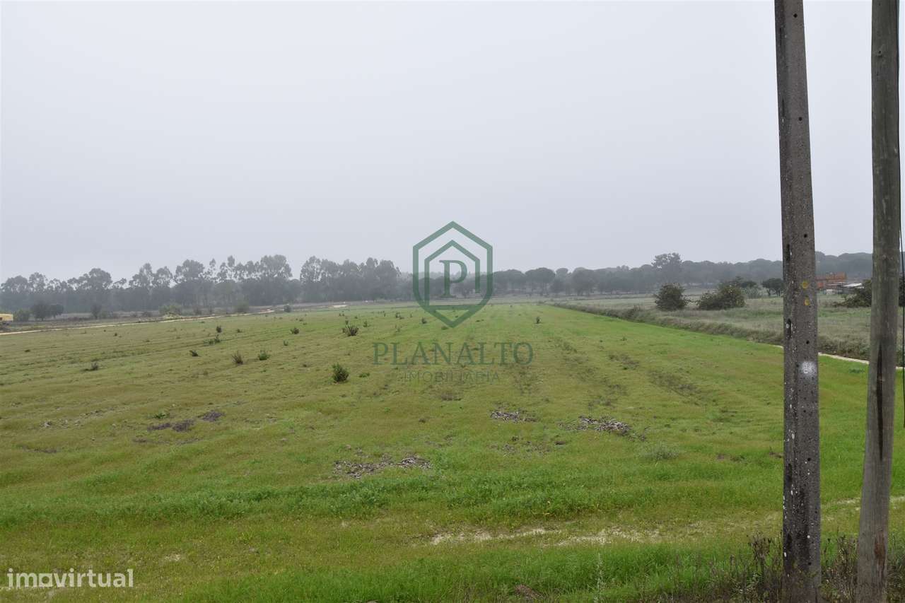 Terreno  Venda em Branca,Coruche - Grande imagem: 4/6