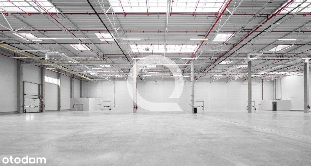 Magazyn, Szczecin Prawobrzeże, Dostępny Od Zaraz - Pełny obrazek: 2/3