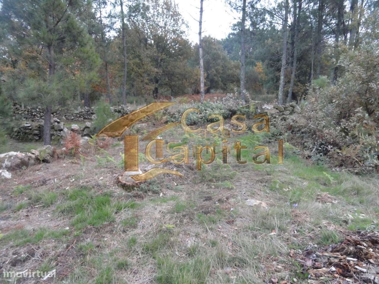 Terreno rústico - Grande imagem: 5/13