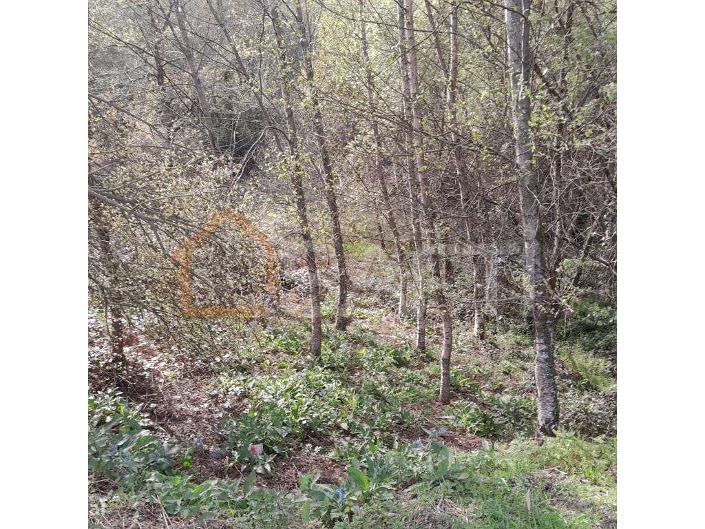 Terreno em local privilegiado - Grande imagem: 5/7