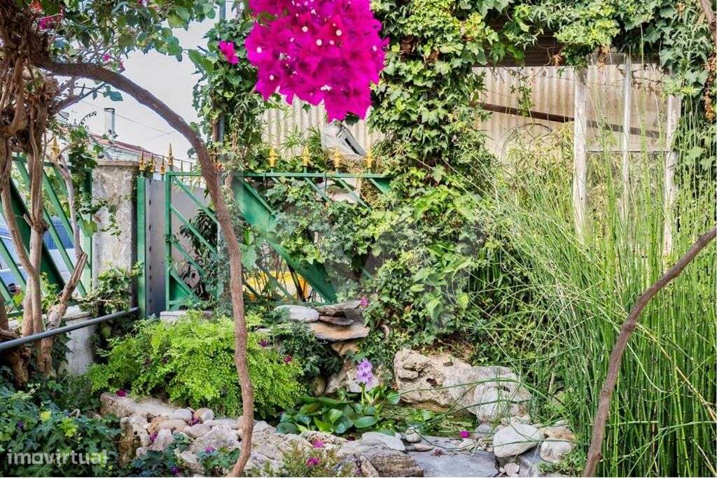 Moradia e Estabelecimento Comercial (Café) para venda - Quinta do Cond - Grande imagem: 3/23