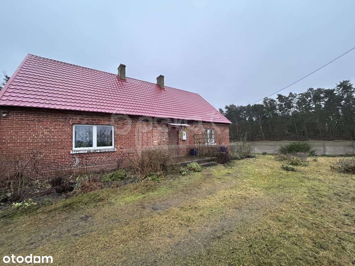 Dom wolnostojący przy lesie - Pełny obrazek: 4/13