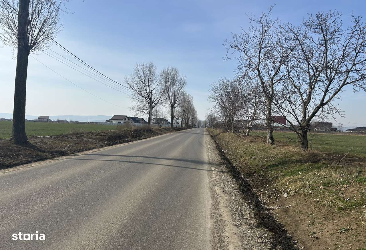 Teren 14700 mp IASI MIROSLAVA V Ursului des 46 ml la DJ int 800.000 e - Imagine principală: 2/10