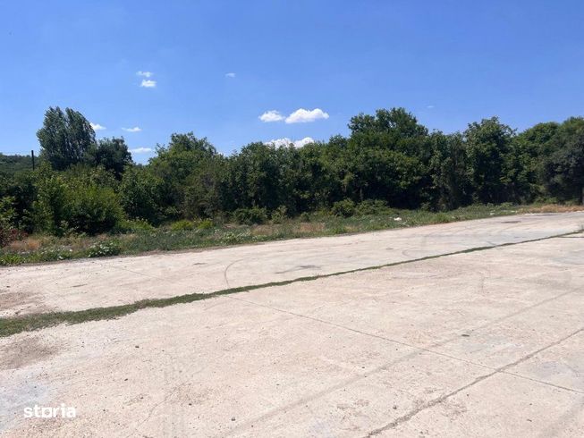 Investitie de viitor! Teren intravilan 8554 mp-Bucovat-12
