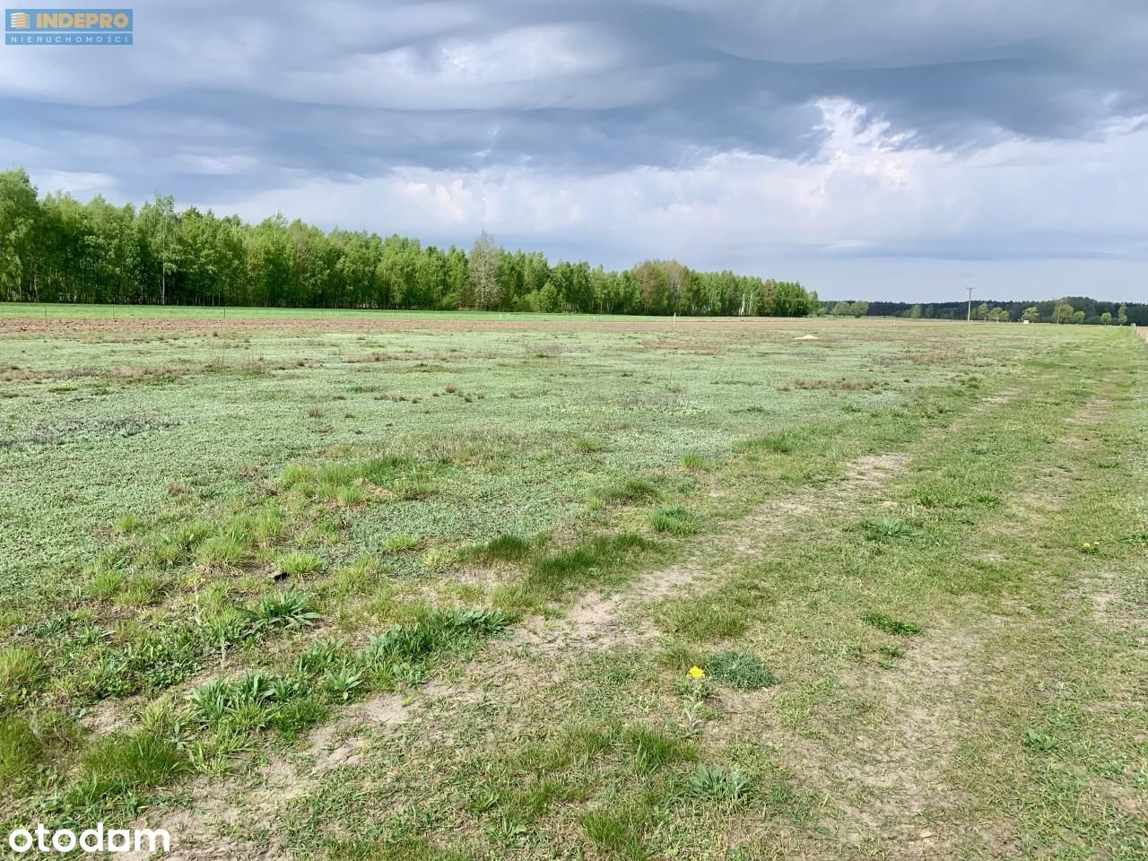 Działki budowlane - Ręczaje Polskie