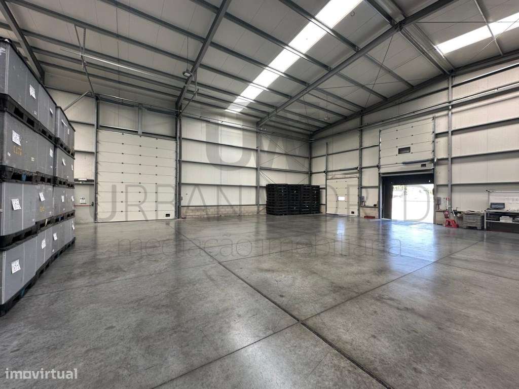 Armazém Industrial, Nelas - Canas de Senhorim, 4.279 m²-11