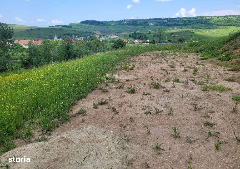 Teren Autorizat Construire Casa-3