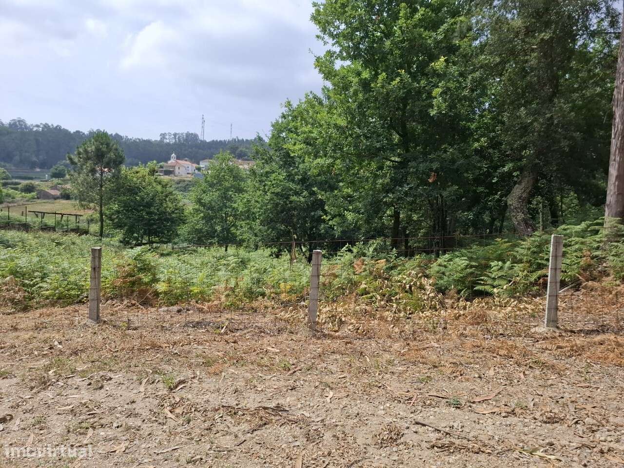 Terreno c/ projeto - Vale de Cambra-13