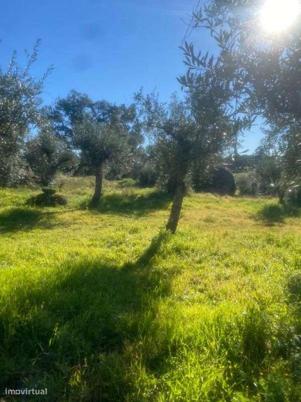 Terreno - Grande imagem: 3/5