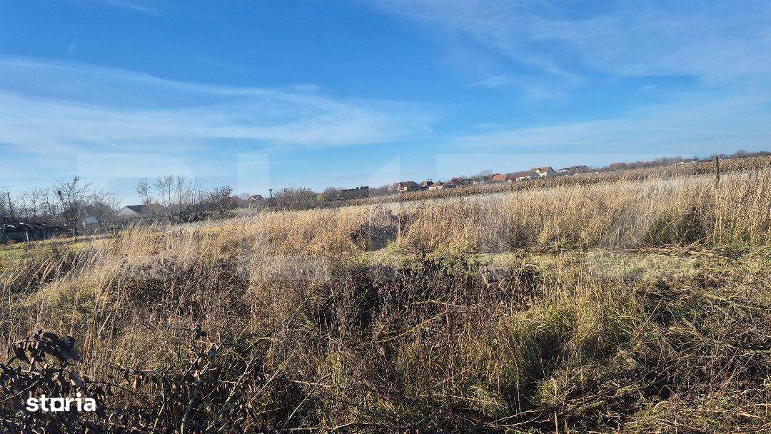 Teren intravilan de vanzare, 1900 mp, in Odoreu - Imagine principală: 2/2