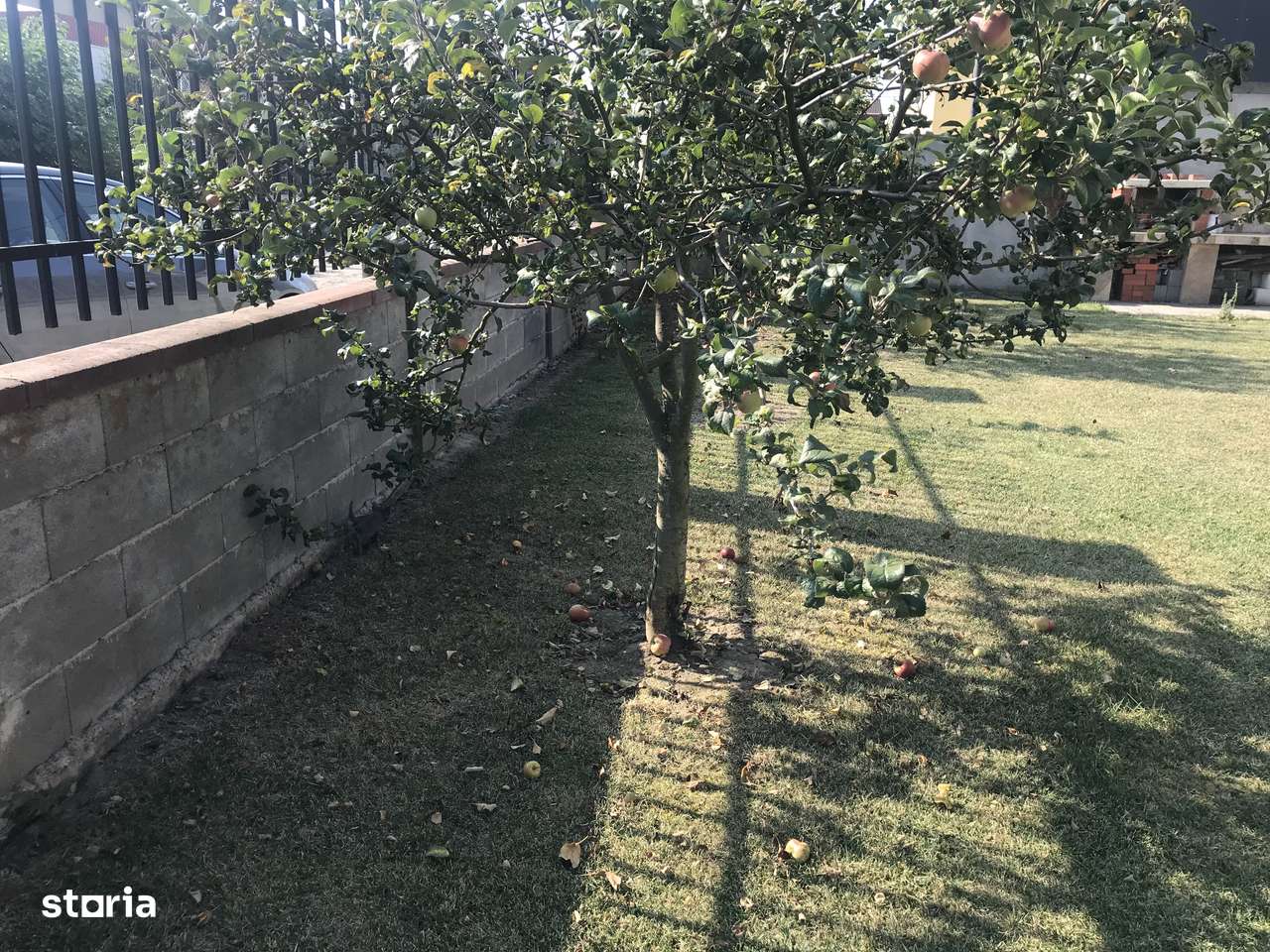 Vand casa cu teren 3900 mp Sag 280000 euro-2