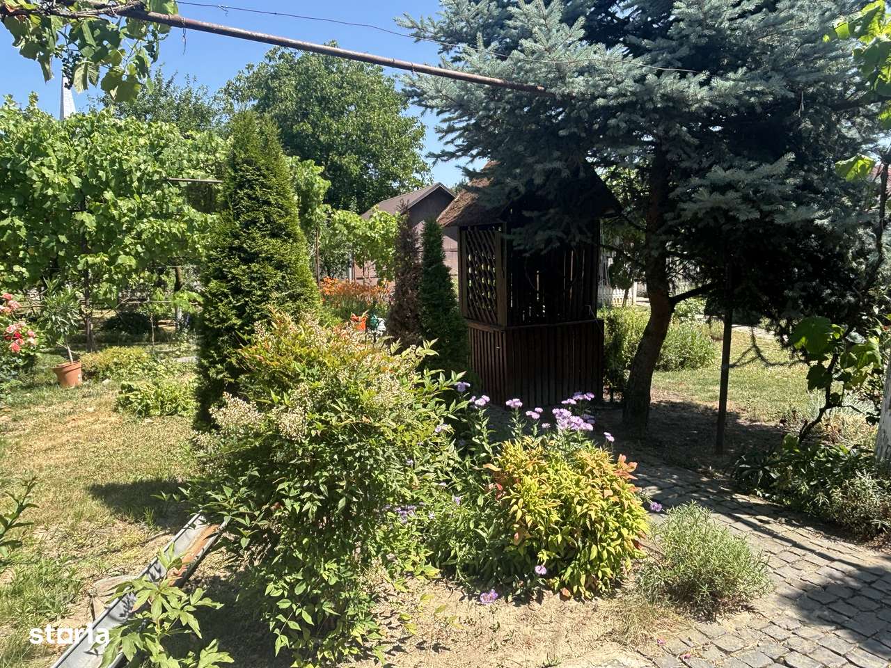 Vand casa cu teren 3900 mp Sag 280000 euro-8