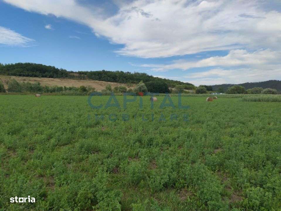 Comision %! Teren intravilan 22 400 mp, suprafata plana, sat Fundatura - Imagine principală: 4/4