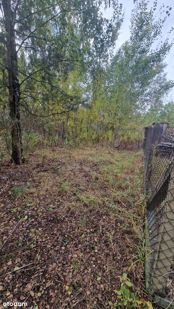 Do negocjacji  -  działki w miejscowości   Jaktorów - Kolonia - Pełny obrazek: 4/6