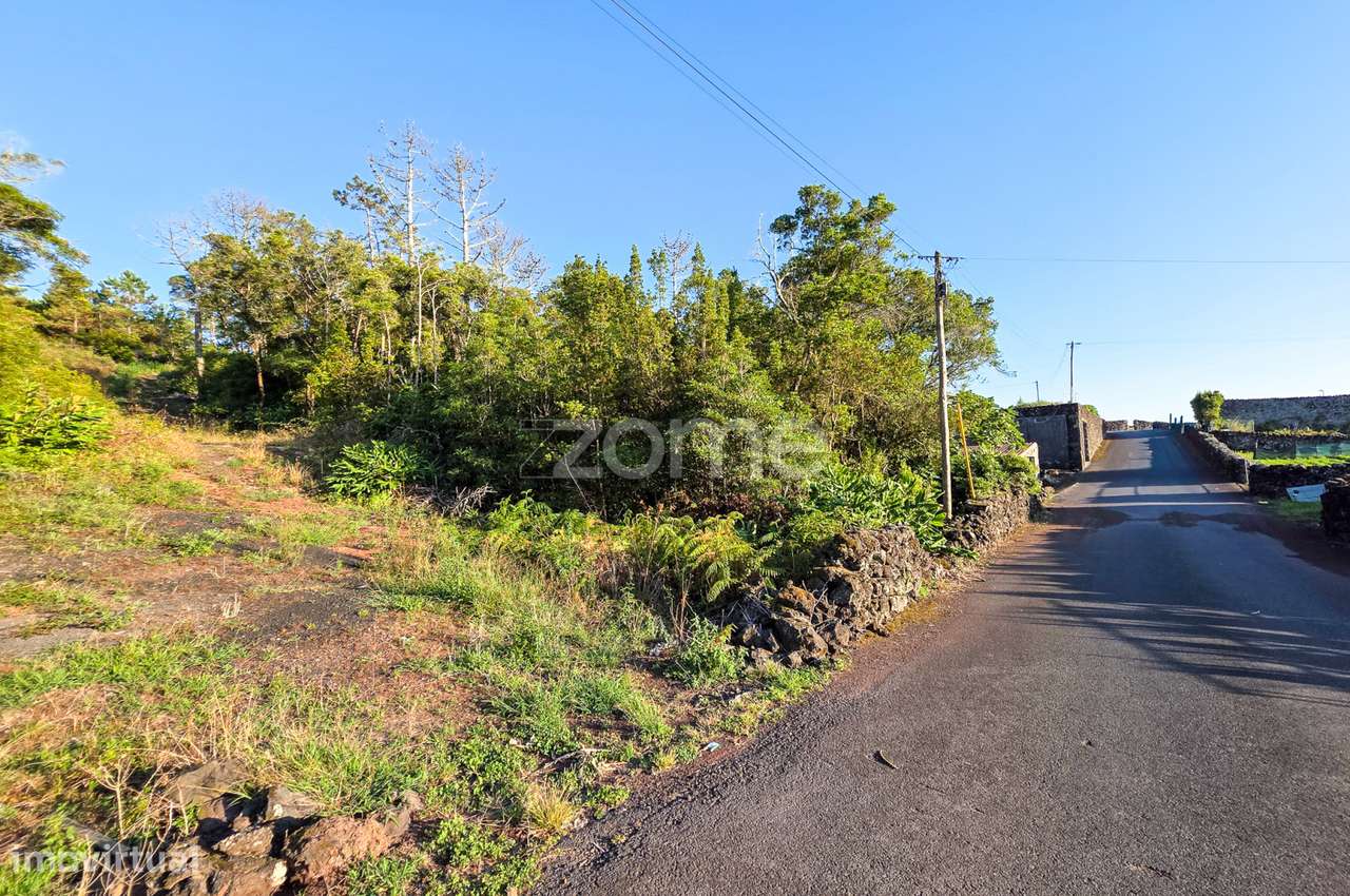 Terreno com viabilidade de construção com 968m2, na Criação Velha - Grande imagem: 4/20