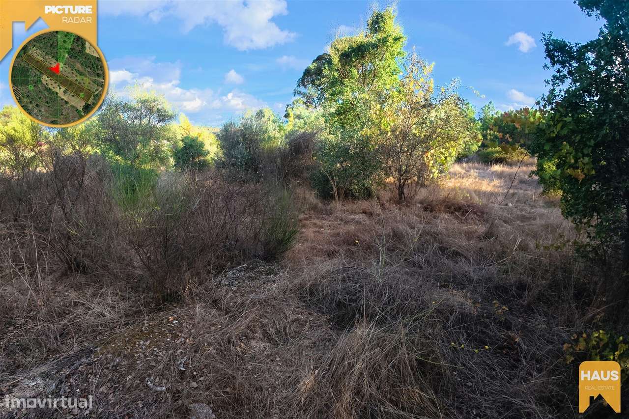 Terreno Rústico 2.300m² c/ Muros de Pedra – Juncal do Campo-16