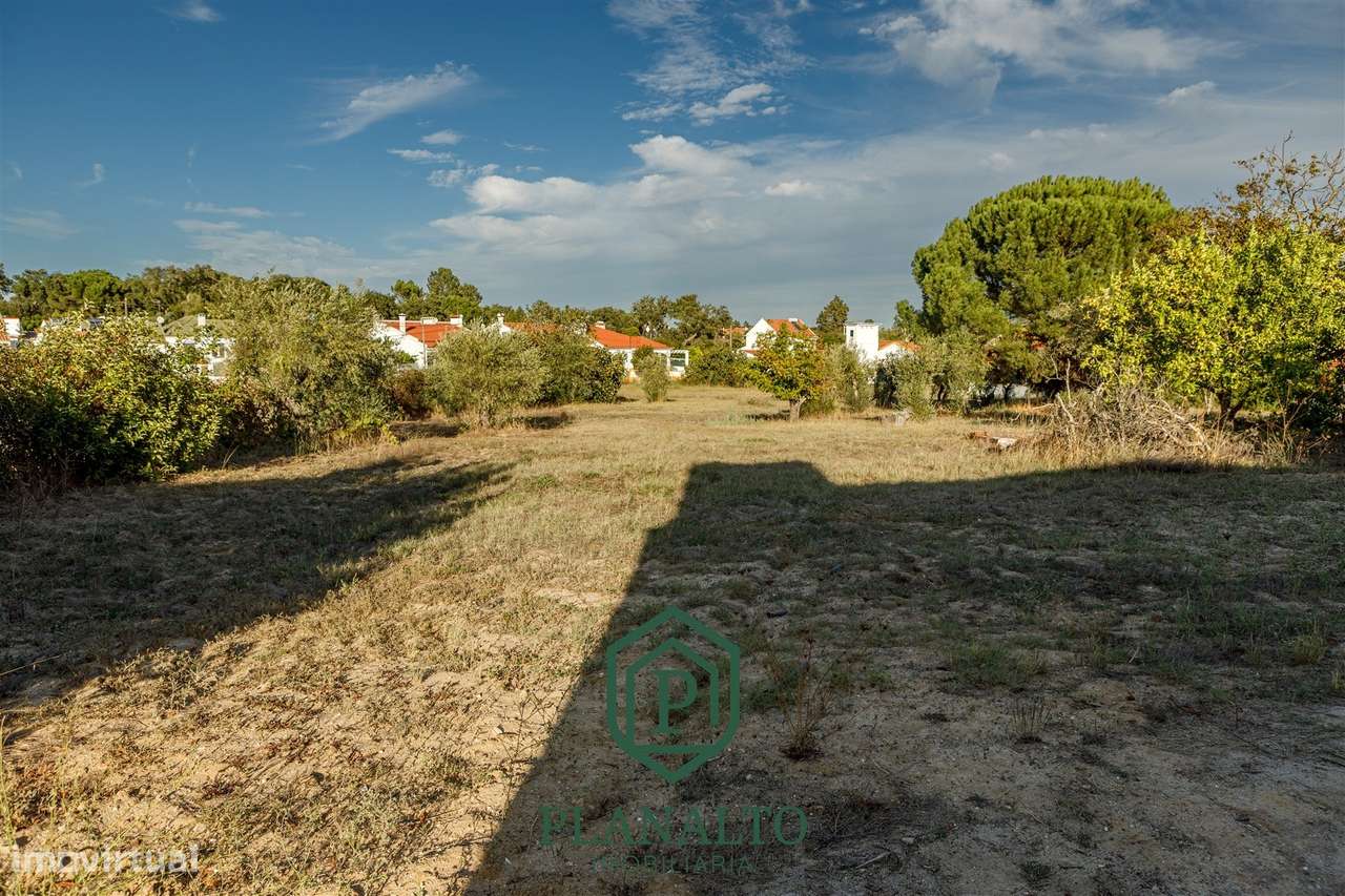 Quinta  Venda em Cortiçadas de Lavre e Lavre,Montemor-o-Novo-14
