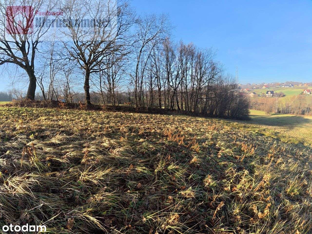 Działka, 9 325 m², Grabie - Pełny obrazek: 5/7