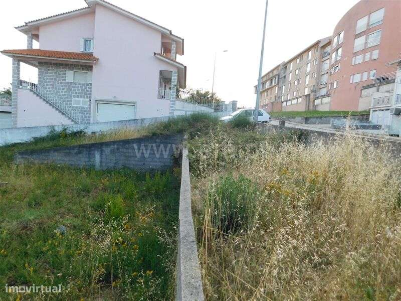 Lote / Seia, Seia - Grande imagem: 3/6