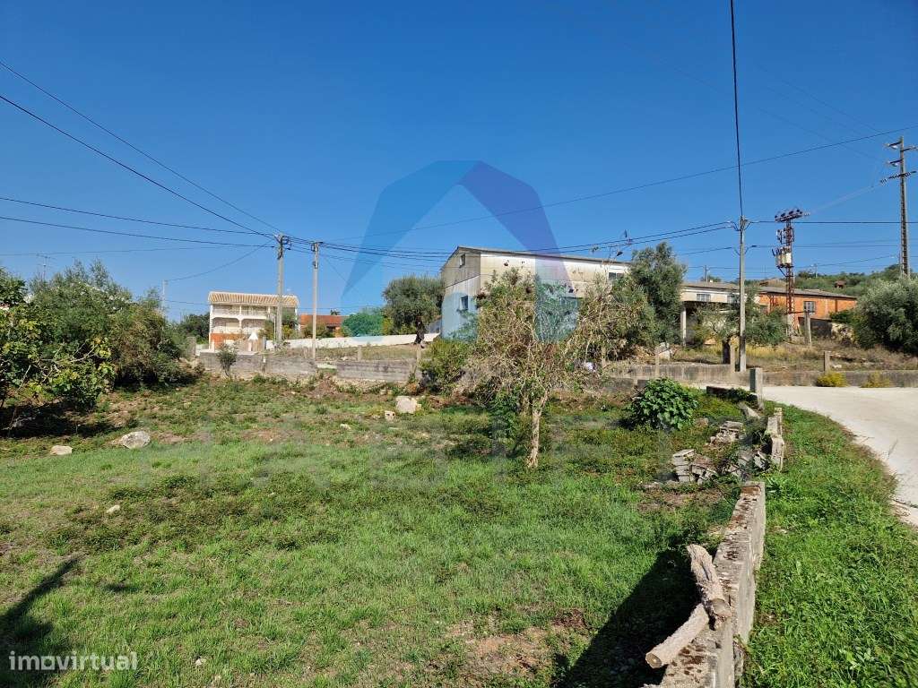 Terreno com Viabilidade de Construção - Pombal-4