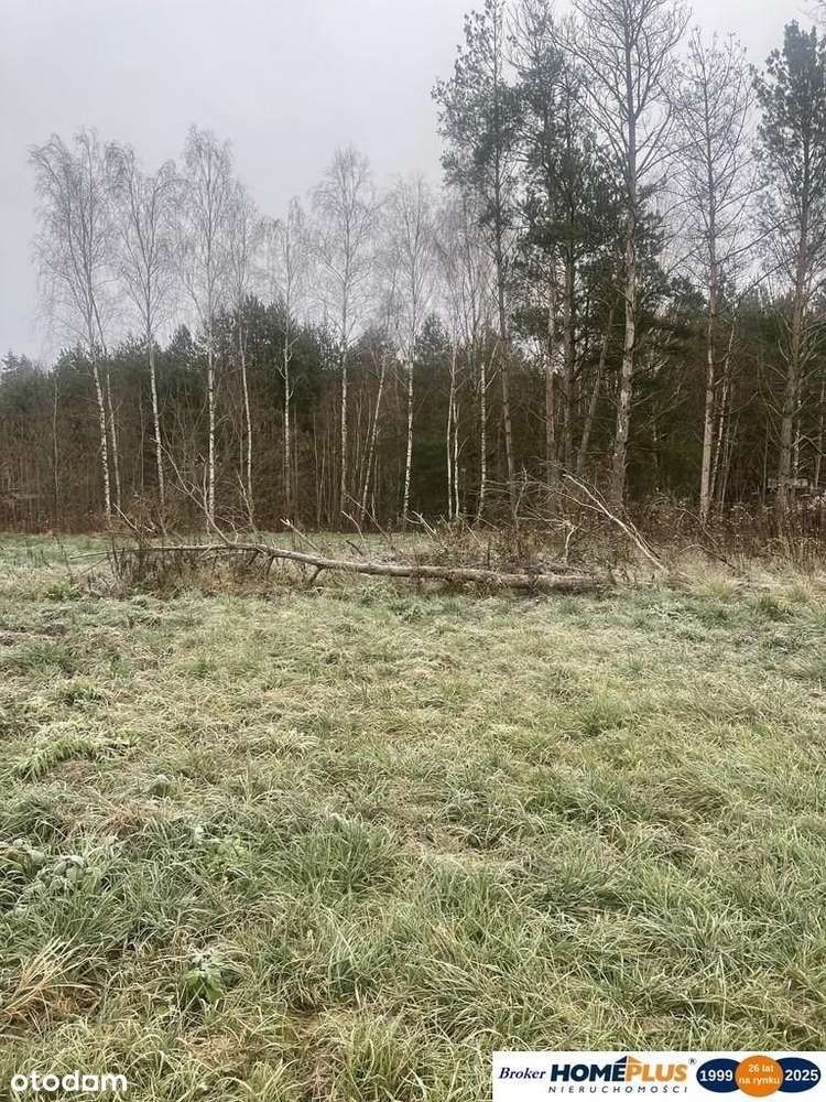 Działka budowlana 940 m² blisko lasu. - Pełny obrazek: 4/5