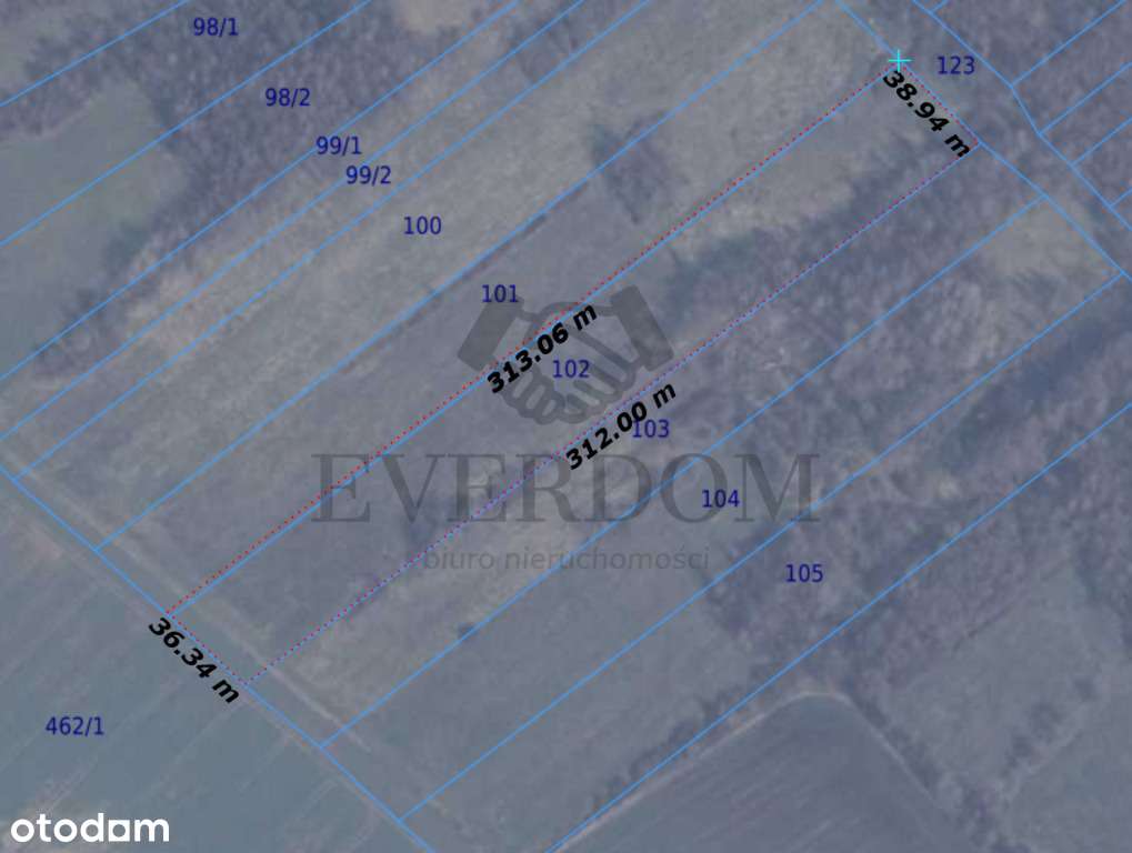 Działka rolna Starzyński Dwór 10 700 m2 - Pełny obrazek: 4/10