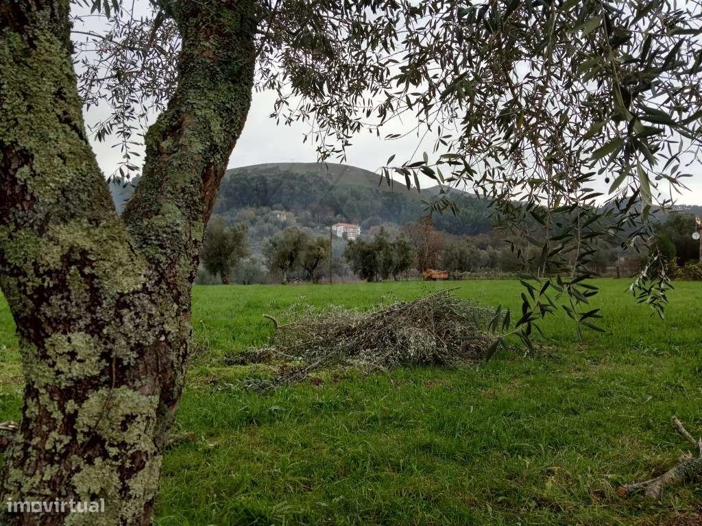 Terreno c/ possibilidade de construção em Serdedelo - Grande imagem: 4/6