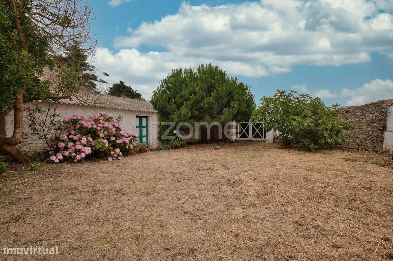 T10 no melhor Sitio da Nazaré-18