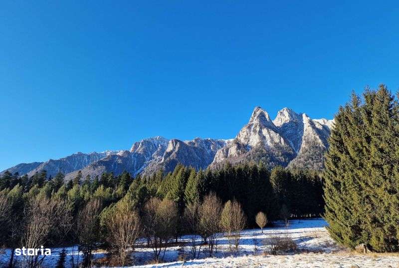 Teren unic Busteni - Imagine principală: 4/8