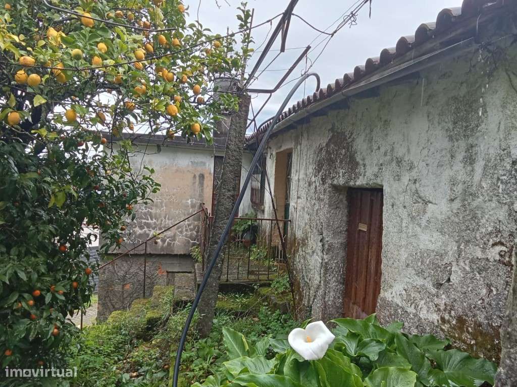 Moradias para Recuperar - Grande imagem: 4/13